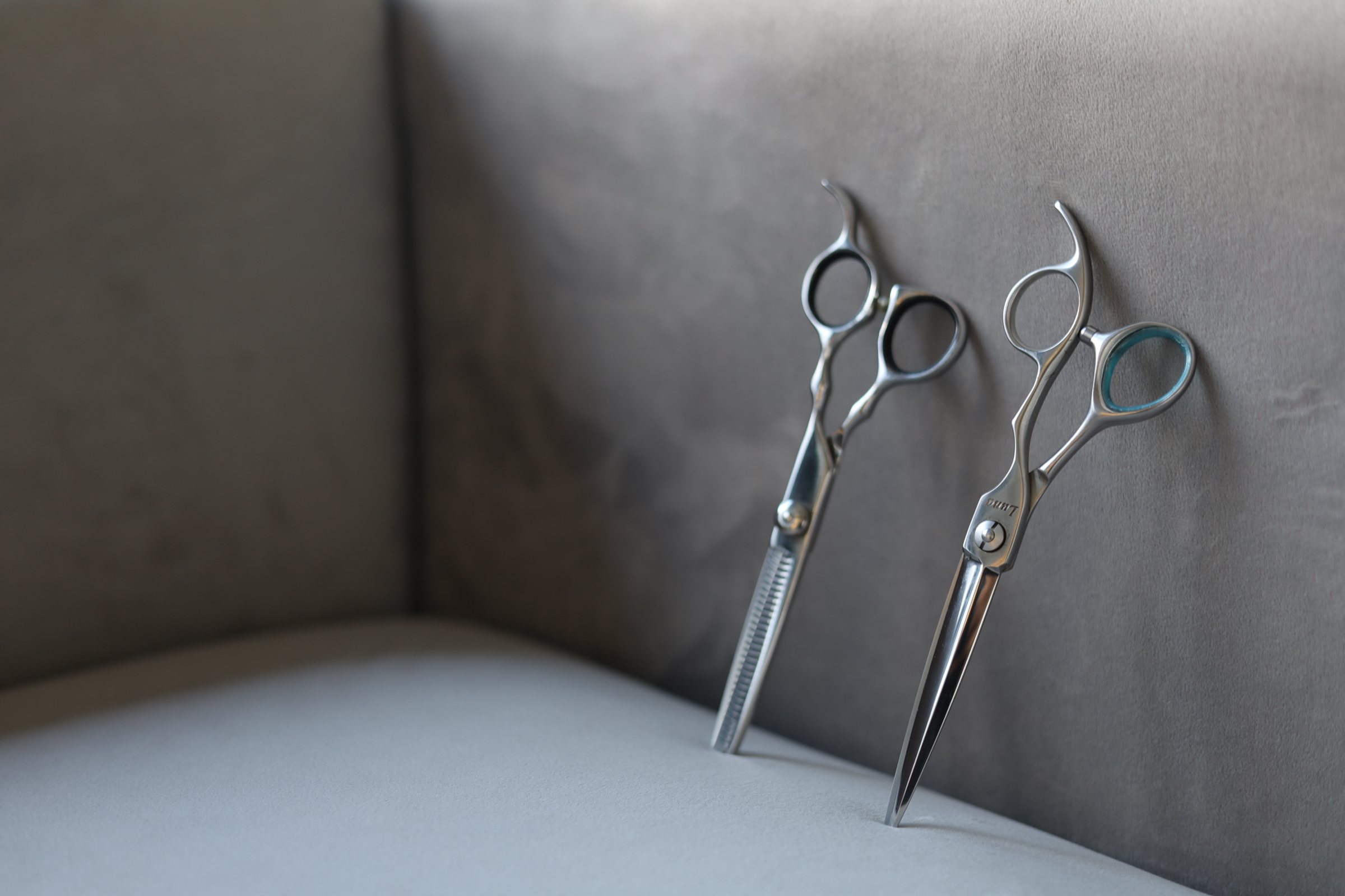 [La Senteの店舗内装]